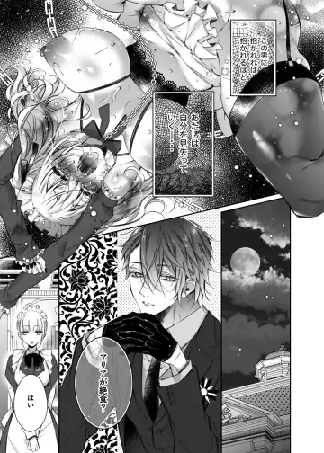 [Yamato Hotaru] Maria xx Maid 3 Fhentai - Page 8