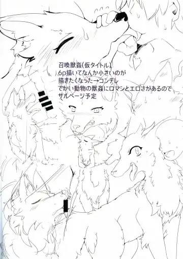 [Sirokoma] Re:  [Kondere]tion Fhentai - Page 13