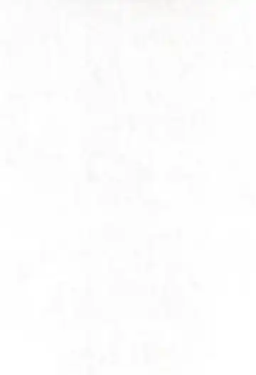 [Misooden] CDE Kanzenban Fhentai - Page 4