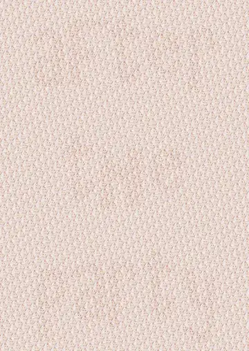 RacySympathy Fhentai - Page 19