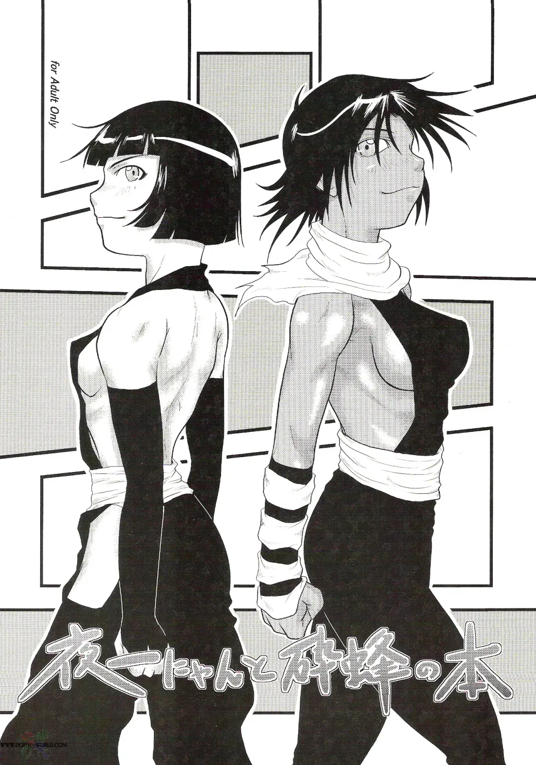 [Seijirou Kagechika] Yoruichi Nyan to Soi Fon no Hon Fhentai - Page 1