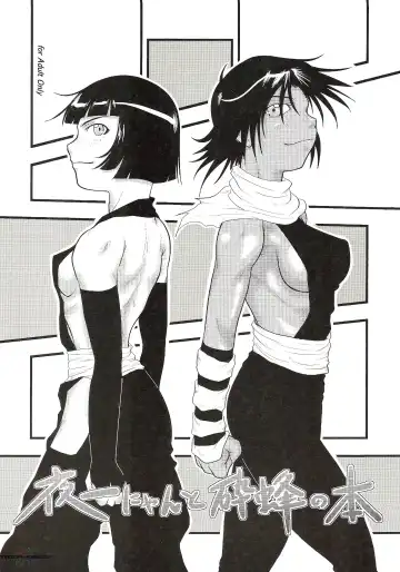 Read [Seijirou Kagechika] Yoruichi Nyan to Soi Fon no Hon - Fhentai