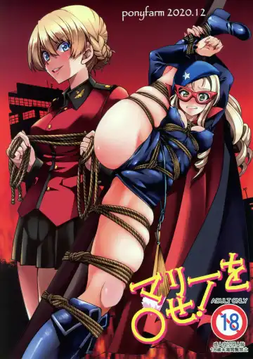 Read [Inoue Yoshihisa] Mary o 〇se - Fhentai