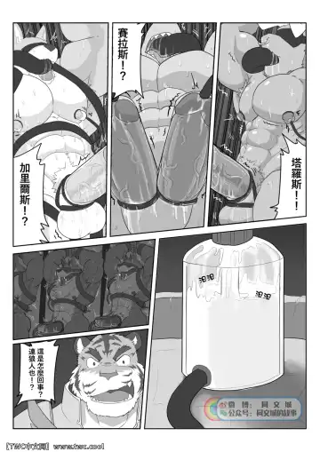 [Kenzofong] MVP vol.3 Fhentai - Page 12