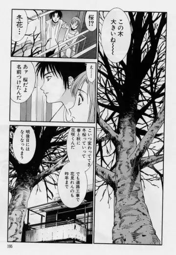 [Uchino Bungo] Kanojo to Boku no Tsuita Uso Fhentai - Page 193