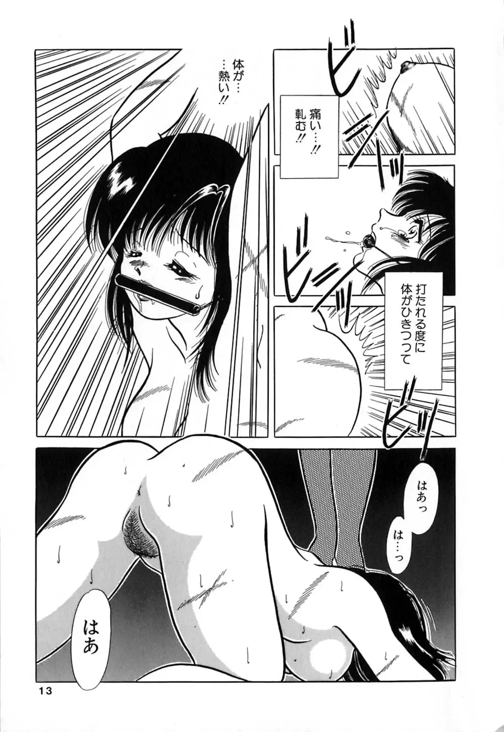 [Yagyuu Ryuu] Mesu no Honnou Fhentai - Page 13