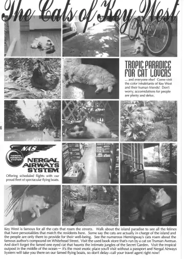 Summer Solstice Fhentai - Page 6