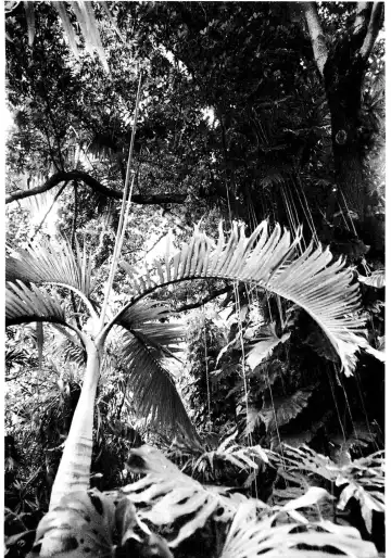 [Asari Yoshitoo] Twilight's Last Gleaming Fhentai - Page 25