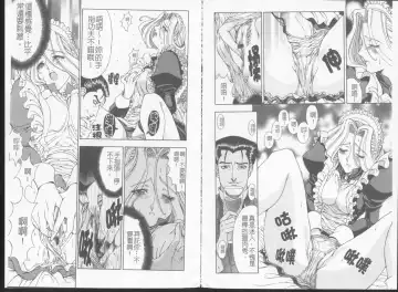 [Sena Youtarou] Joker Fhentai - Page 23