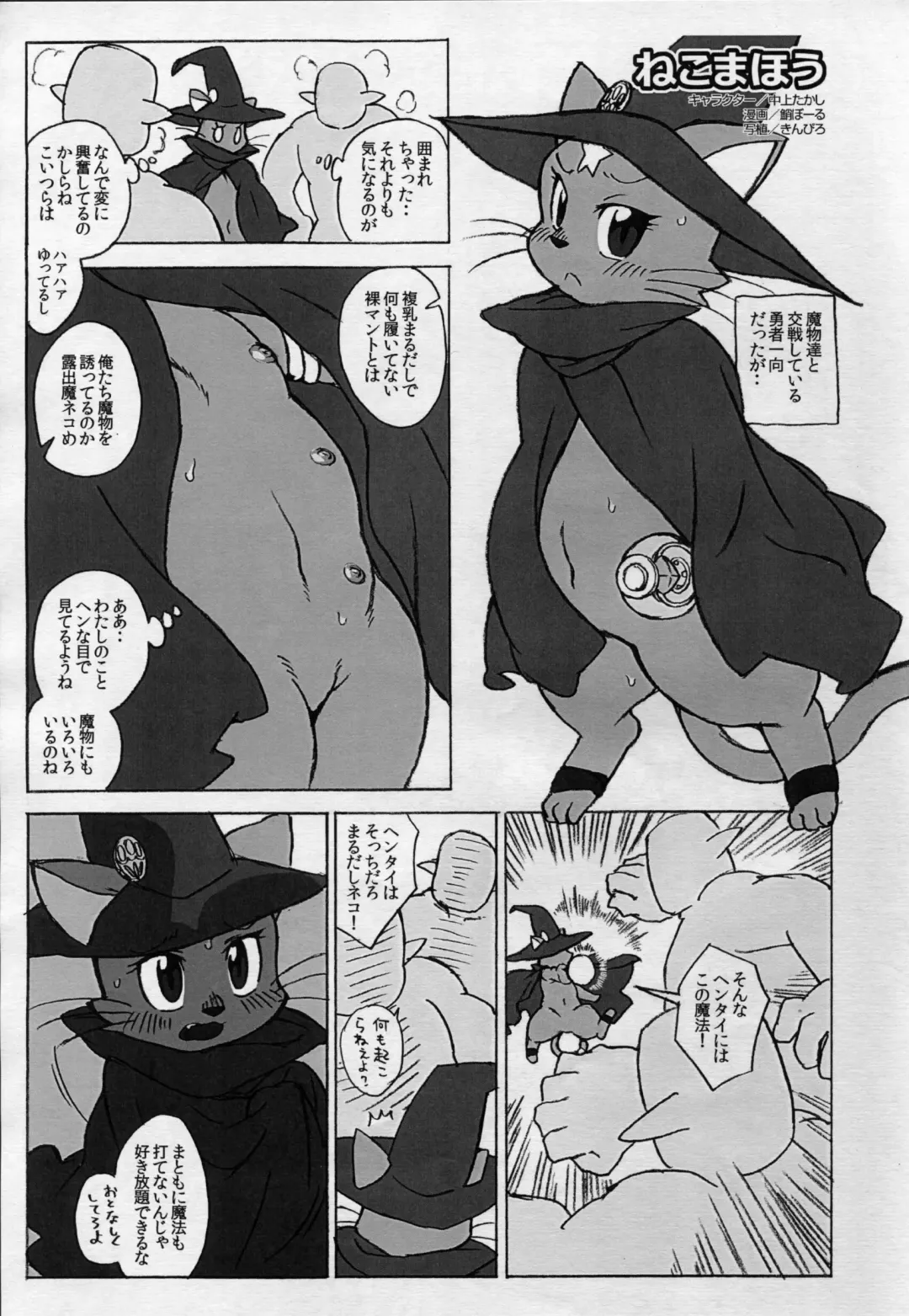 [Nakagami Takashi] cat holic Fhentai - Page 3