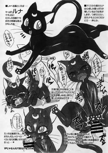 [Nakagami Takashi] cat holic Fhentai - Page 21