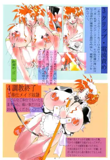 [Mikoshiro Honnin] S.E.E.K gamebooks Fhentai - Page 3