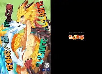Read [Rurien] Dragon ni Dragon o Ageru to Tsuyoku Naru ze - Fhentai
