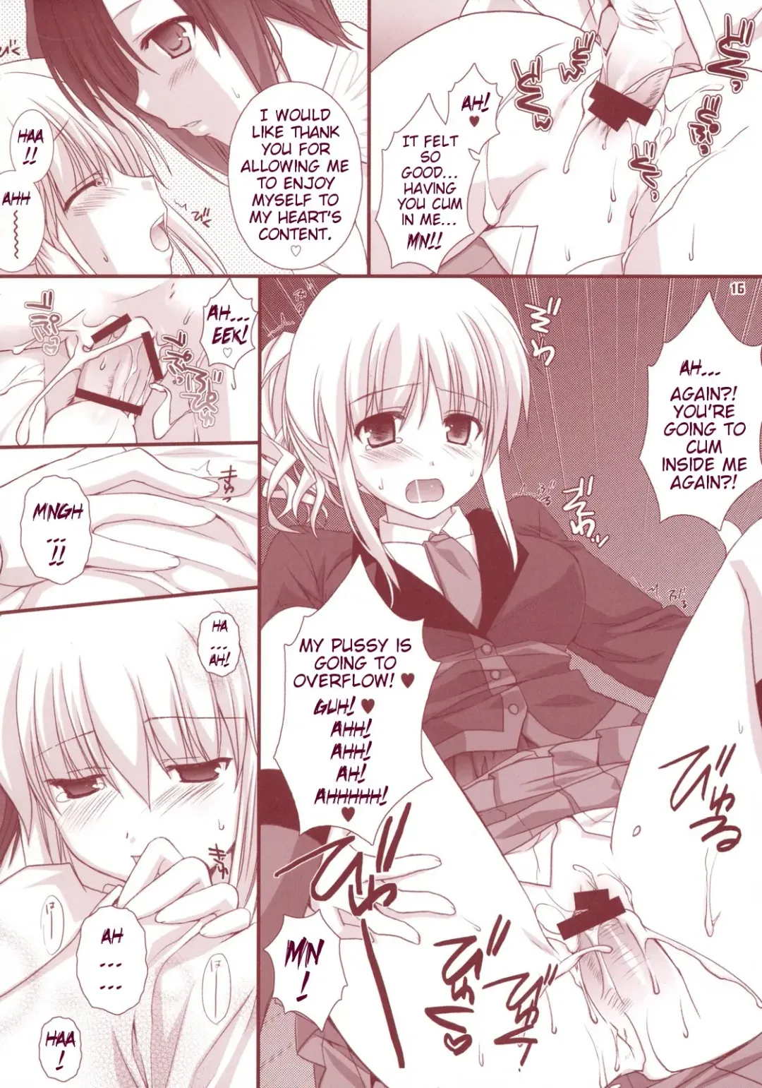 [Sesena Yau] Meirei Dayo Fhentai - Page 15