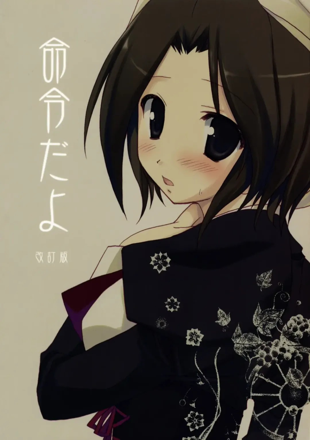 [Sesena Yau] Meirei Dayo Fhentai - Page 19