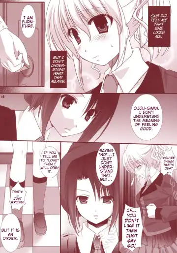 [Sesena Yau] Meirei Dayo Fhentai - Page 11