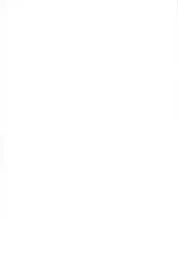 [Nijino Okayu] Mugen-sama, Dou ka Otawamure o Fhentai - Page 31