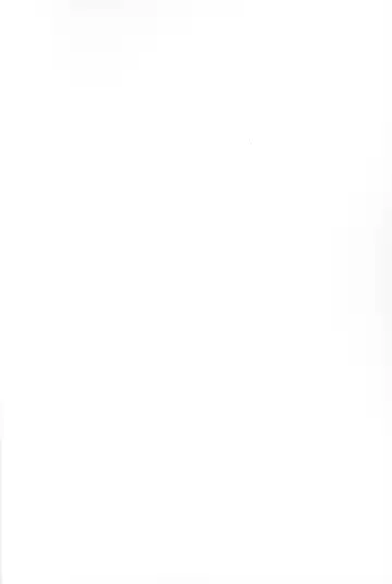 [Nijino Okayu] Mugen-sama, Dou ka Otawamure o Fhentai - Page 4