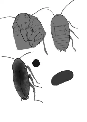 [Amano Teru] Haioku Chuugi Fhentai - Page 22