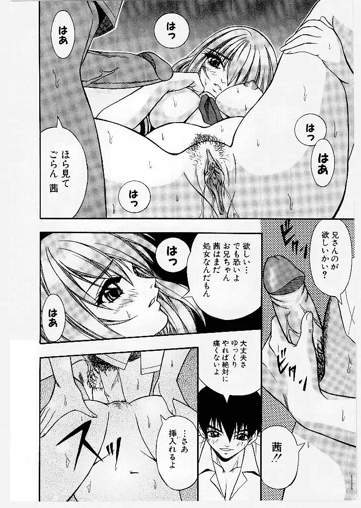 [Yume Kirei] Youen Ranbu Yawahada Musume Fhentai - Page 16