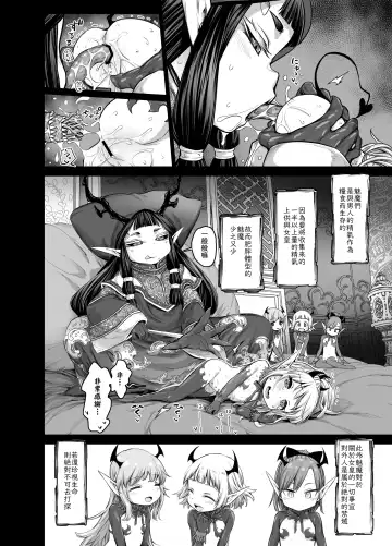 [Kyaradain] Isekai Kyaradin ni Okeru Succubus no Seitai Fhentai - Page 13