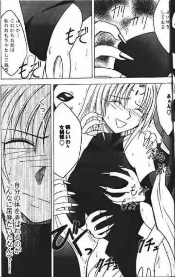 [Crimson] Power Matrix Fhentai - Page 26