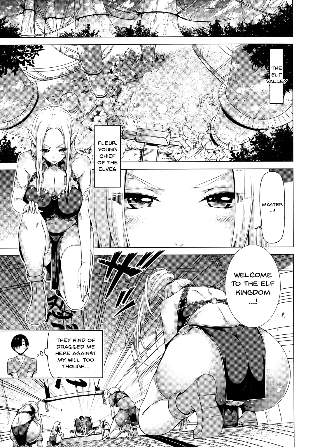 [Akatsuki Myuuto] Isekai Harem Paradise Ge | Other World Harem Paradise Second Part Fhentai - Page 45