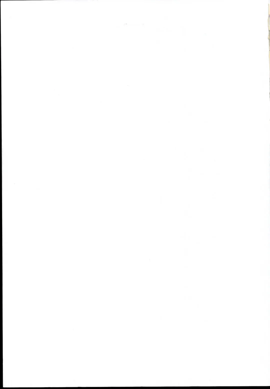 [Suzuki Metal] TRIPLE JUDGEMENT Fhentai - Page 27