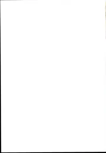 [Suzuki Metal] TRIPLE JUDGEMENT Fhentai - Page 27