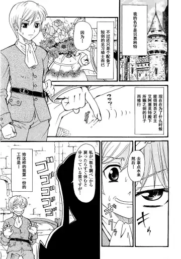 Seirei Kishi Arcuiel Anthology Comics Fhentai - Page 35