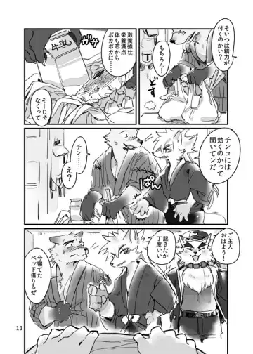 [Ichiboshi] Concon One Day Fhentai - Page 10