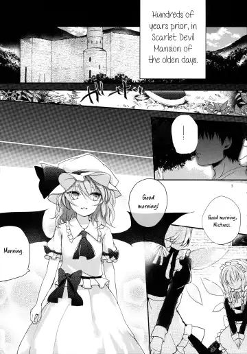 [Nadzuka] Koumakyou Shojo Kyuuketsuki Gensoutan | The Embodiment of Scarlet Devil ~A Virgin Vampire's Fantasy Fhentai - Page 3
