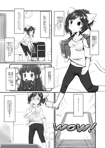 [Jumo - Umou] Neko-chan Neko-chan to Osshamasu ga Fhentai - Page 3