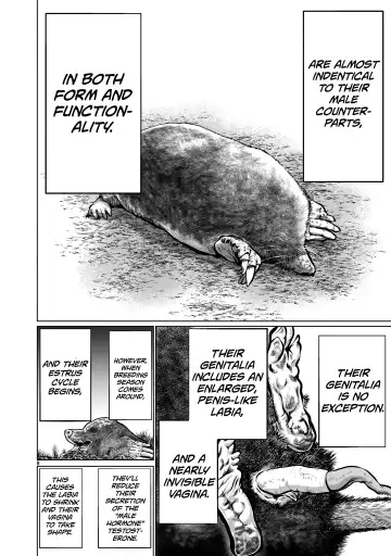 [Sumita Kazuasa] Isn't It Too Much? Inaba-san/Hoshi Gari Sugidesho? Inaba-san chapter 10 Fhentai - Page 7