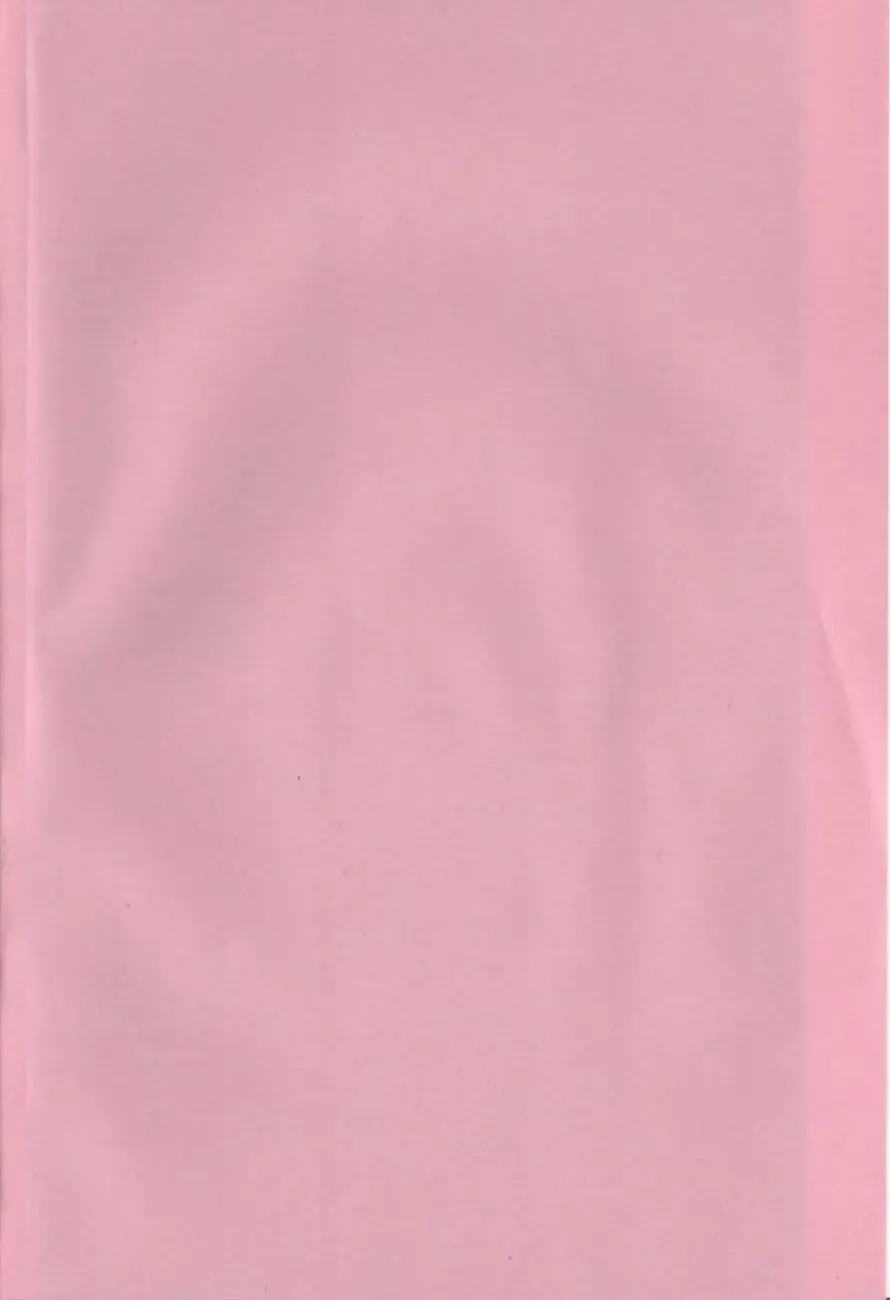 [Watanabe Wataru] Bakunyuu Dou Deshou? - Bomber Chest Now? Fhentai - Page 4