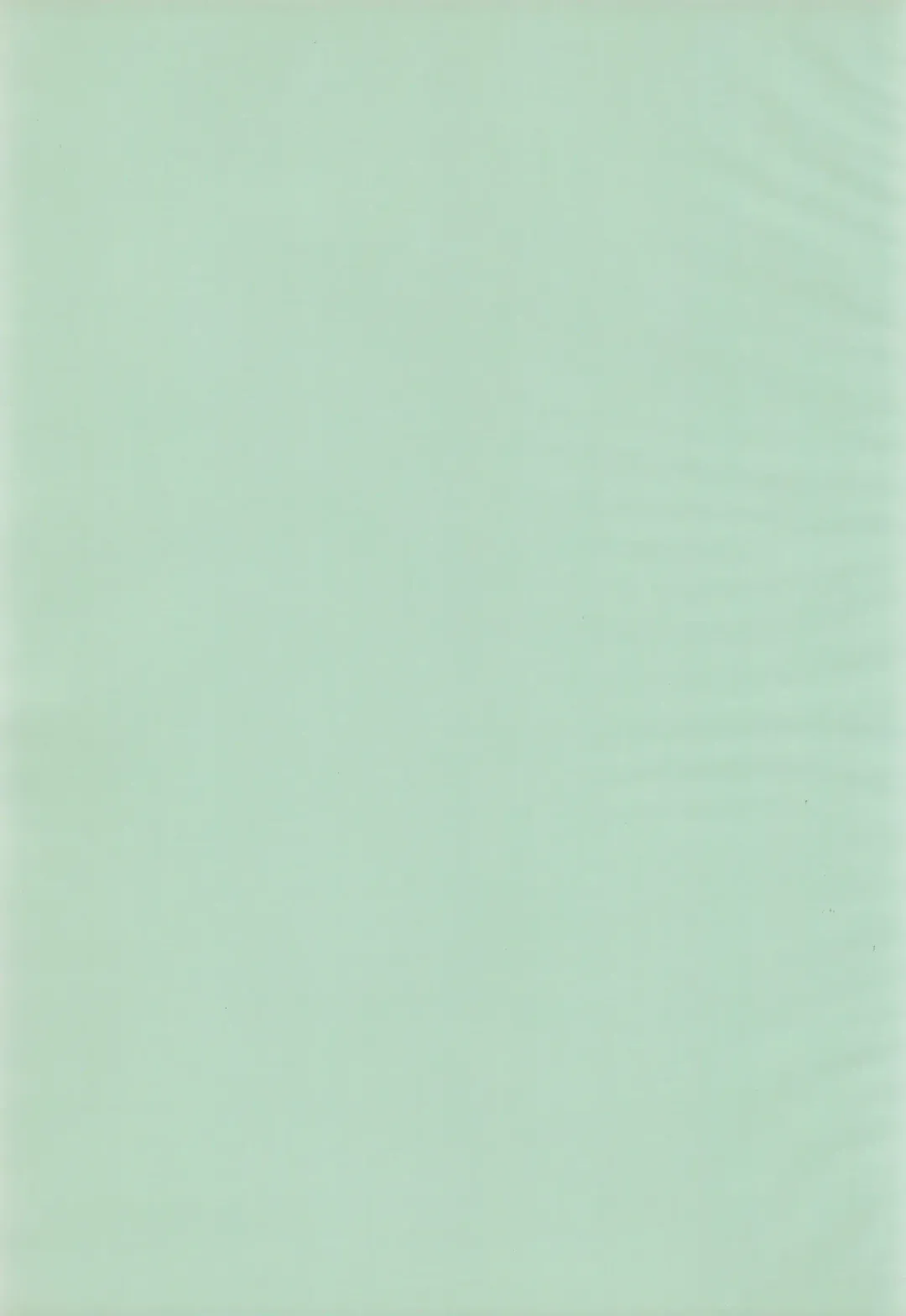 Doki Doki Tonight Fhentai - Page 3