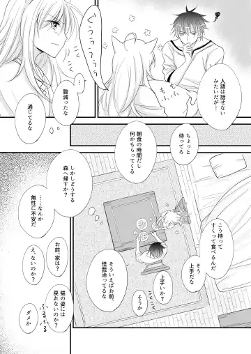 Hatsujou ~Koneko o Hirotta Kishi no Hanashi~ Fhentai - Page 9