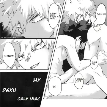 [Pokochi] Hero ni Narenakatta Boku | I can't be a hero Fhentai - Page 17