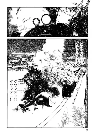 [Maruo Suehiro] Shōjo Tsubaki | Mr. Arashi's Amazing Freak Show Fhentai - Page 26