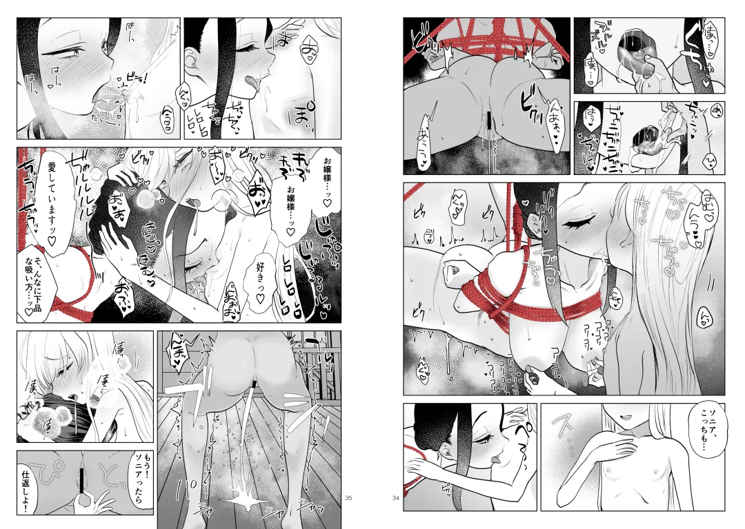 [Serakichi.] Ojou-sama to Meido no Himeyaka naru Kyouraku Fhentai - Page 19