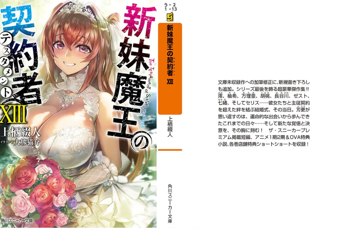 [Ookuma Nekosuke] Shinmai Maou no Testament XIII Fhentai - Page 190