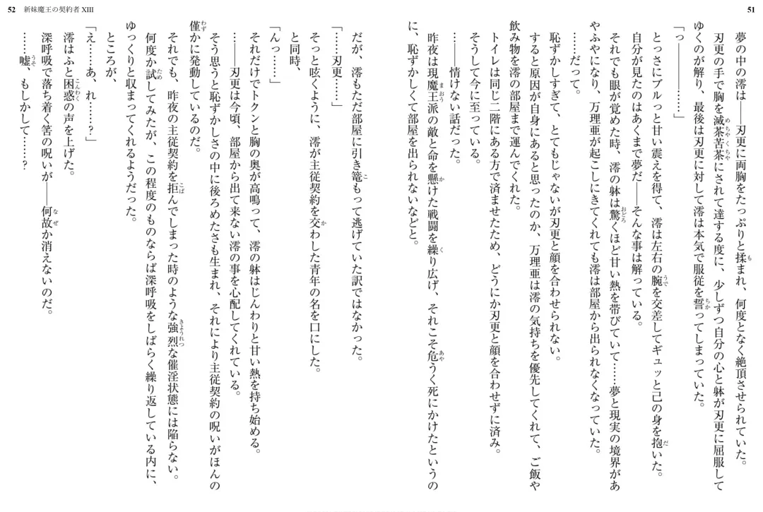 [Ookuma Nekosuke] Shinmai Maou no Testament XIII Fhentai - Page 30