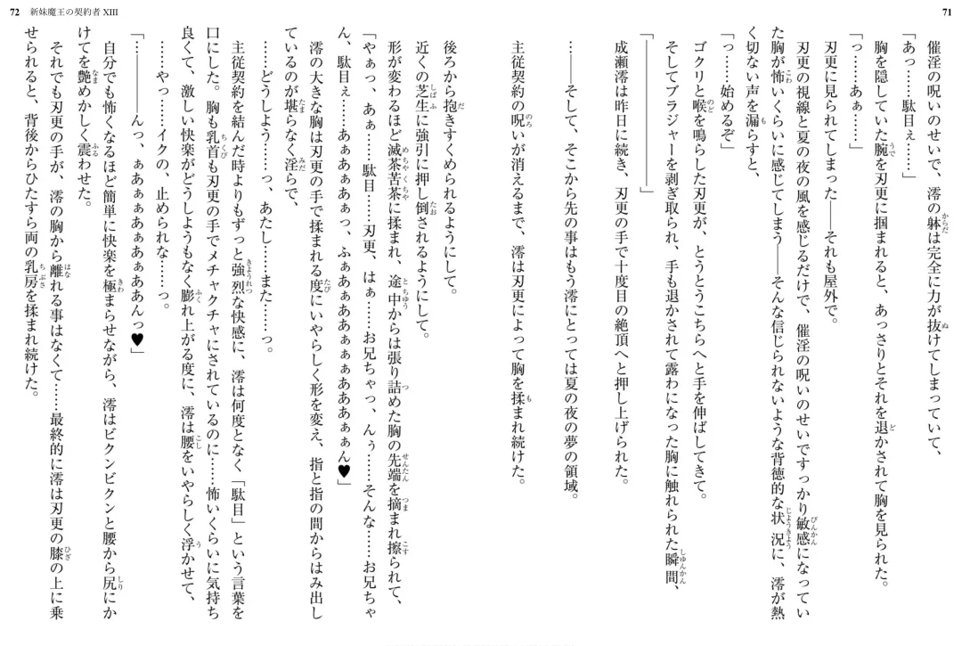 [Ookuma Nekosuke] Shinmai Maou no Testament XIII Fhentai - Page 40