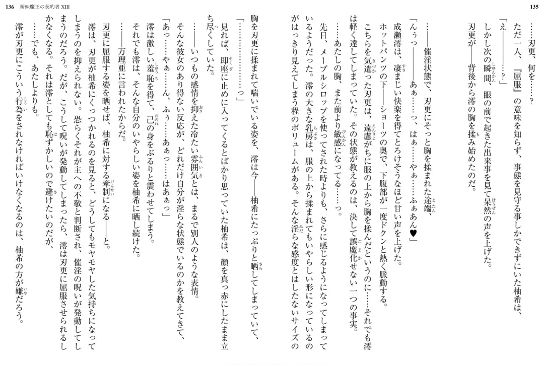 [Ookuma Nekosuke] Shinmai Maou no Testament XIII Fhentai - Page 73