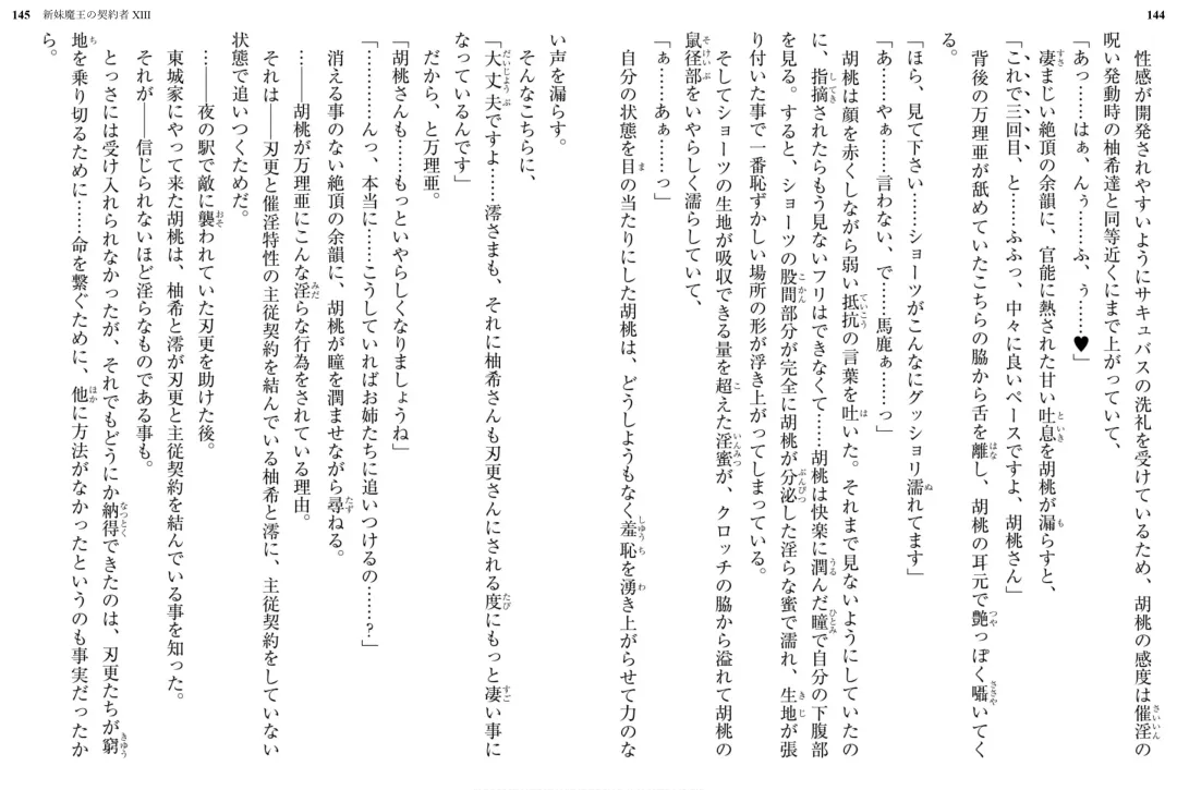 [Ookuma Nekosuke] Shinmai Maou no Testament XIII Fhentai - Page 78