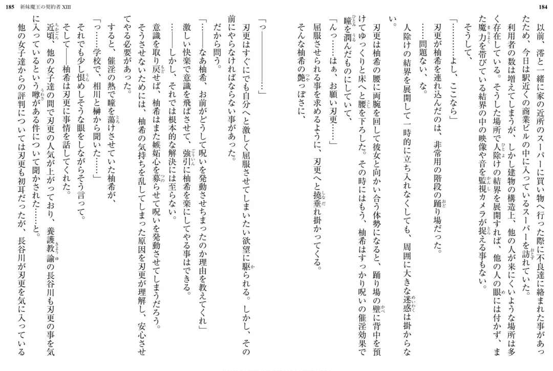 [Ookuma Nekosuke] Shinmai Maou no Testament XIII Fhentai - Page 99