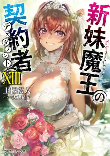 Read [Ookuma Nekosuke] Shinmai Maou no Testament XIII - Fhentai