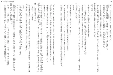 [Ookuma Nekosuke] Shinmai Maou no Testament XIII Fhentai - Page 36