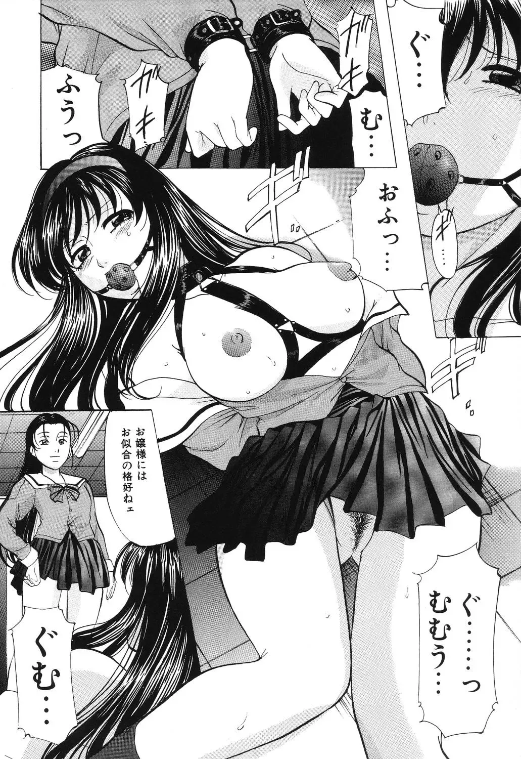 [Onihime] Reijou Collection Fhentai - Page 14