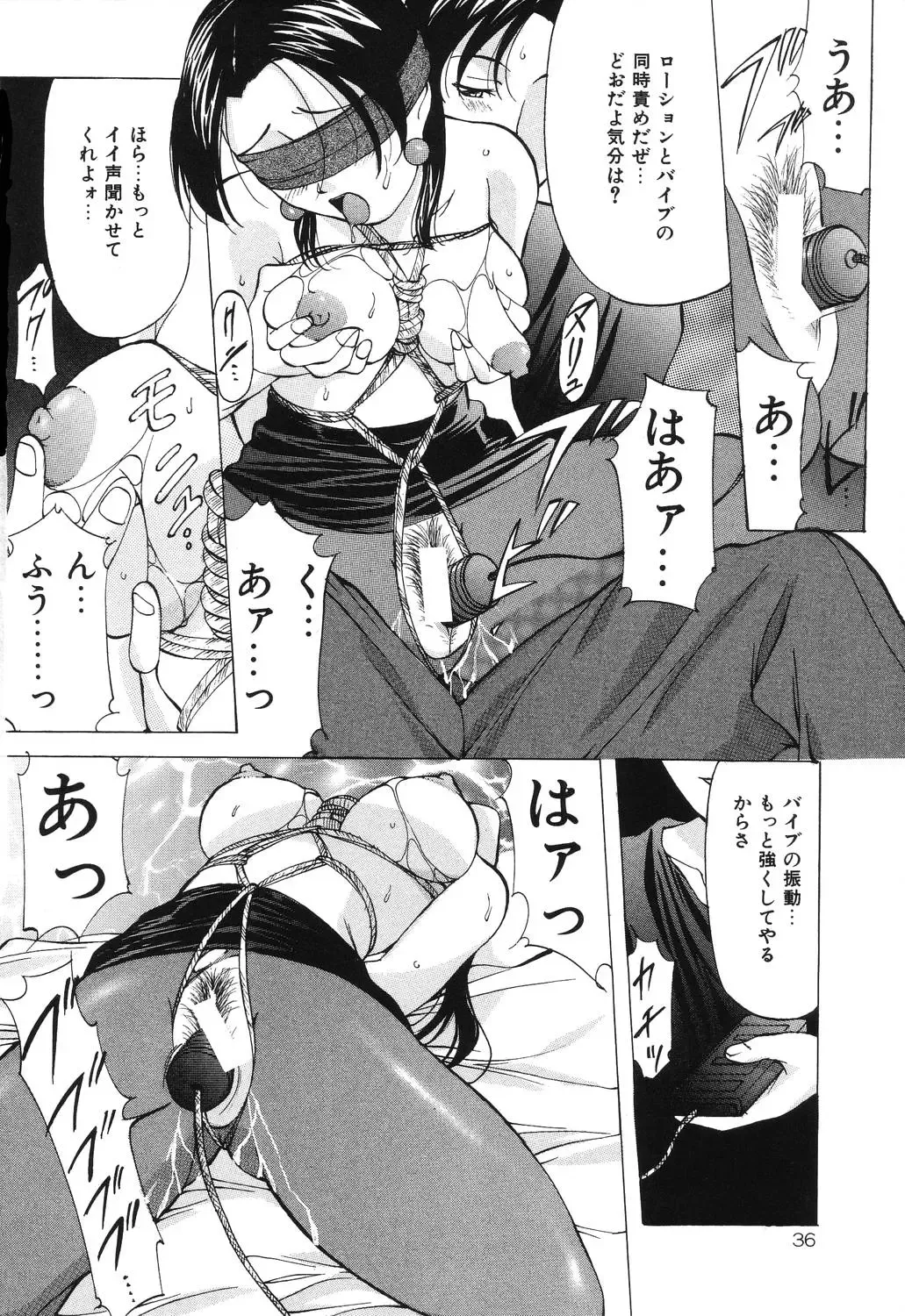 [Onihime] Reijou Collection Fhentai - Page 36